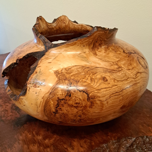 JW-269 Colorado Aspen Burl Hollow Woodturning  $2000 at Hunter Wolff Gallery